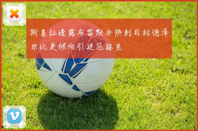 斯基拉透露布雷默非热刺目标德泽尔比更倾向引进范赫克