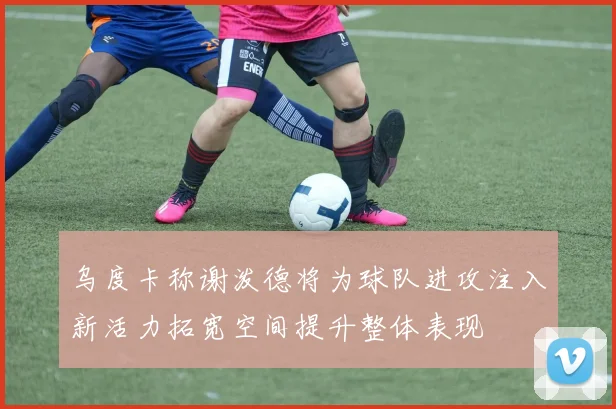 乌度卡称谢泼德将为球队进攻注入新活力拓宽空间提升整体表现