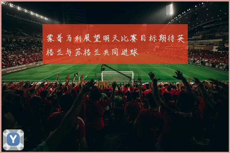 蒙哥马利展望明天比赛目标期待英格兰与苏格兰共同进球