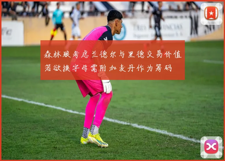 森林狼考虑兰德尔与里德交易价值若欲换字母需附加麦丹作为筹码