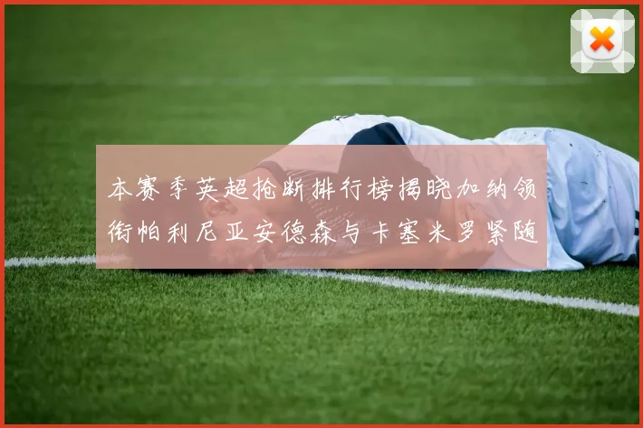 本赛季英超抢断排行榜揭晓加纳领衔帕利尼亚安德森与卡塞米罗紧随其后